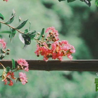 hth·华体育官方截图